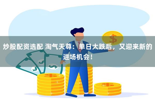炒股配资选配 淘气天尊：单日大跌后，又迎来新的进场机会！