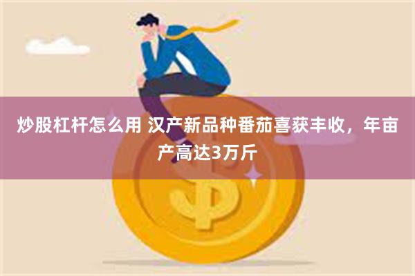 炒股杠杆怎么用 汉产新品种番茄喜获丰收，年亩产高达3万斤