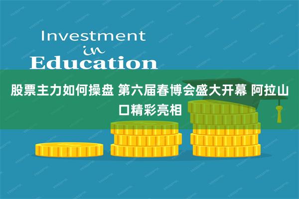 股票主力如何操盘 第六届春博会盛大开幕 阿拉山口精彩亮相