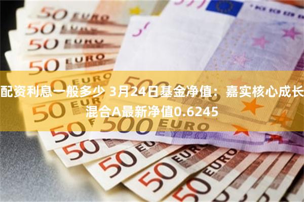 配资利息一般多少 3月24日基金净值：嘉实核心成长混合A最新净值0.6245