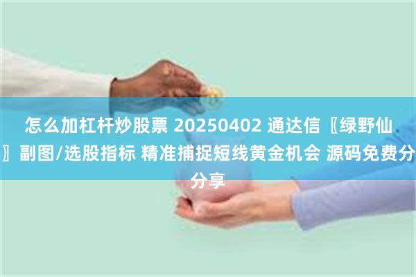 怎么加杠杆炒股票 20250402 通达信〖绿野仙踪〗副图/选股指标 精准捕捉短线黄金机会 源码免费分享