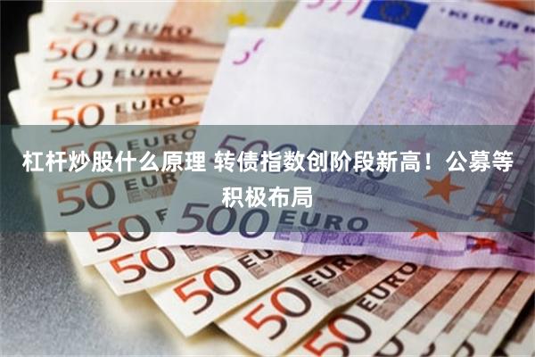 杠杆炒股什么原理 转债指数创阶段新高！公募等积极布局