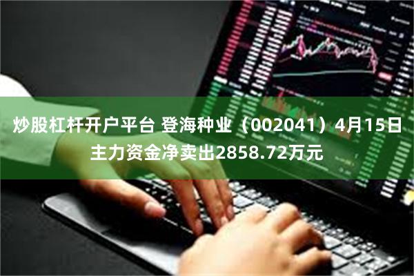 炒股杠杆开户平台 登海种业（002041）4月15日主力资金净卖出2858.72万元
